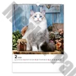 Falinaptár REALSYSTEM 300x340mm álló Cats 2026.