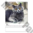 Falinaptár REALSYSTEM 300x340mm álló Cats 2026.