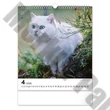 Falinaptár REALSYSTEM 300x340mm álló Cats 2026.