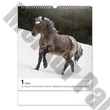 Falinaptár REALSYSTEM 300x340mm álló Horses 2026.