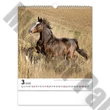 Falinaptár REALSYSTEM 300x340mm álló Horses 2026.