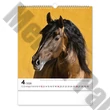 Falinaptár REALSYSTEM 300x340mm álló Horses 2026.