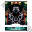 Füzet vonalas NEBULO A/4 32 lapos 81-32 Xtreme 12 db/csomag
