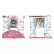 Falinaptár mágneses TOPTIMER T090 220x220mm Cicák 2026.