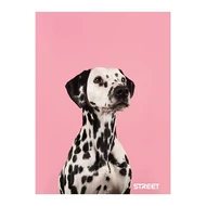 Füzet kockás STREET A/4 54 lapos Friends