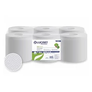 Kéztörlő tekercses LUCART Eco 19 CF 100 m törtfehér 2 rétegű Kéztörlő tekercses LUCART Eco 19 CF 100 m törtfehér 2 rétegű
