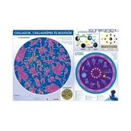 Könyökalátét STIEFEL csillagok és bolygók Könyökalátét STIEFEL csillagok és bolygók