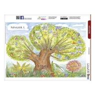 Tanulói munkalap STIEFEL A/4 névszók I. Tanulói munkalap STIEFEL A/4 névszók I.