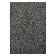 Zsebnaptár ALISCA 2 napos álló fehér lapos vegyes 2026.