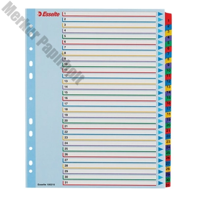 Regiszter ESSELTE A/4 maxi laminált karton újraírható 1-31
