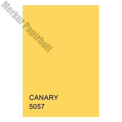 Dekorációs karton KASKAD 50x70 cm 2 oldalas 225 g kanárisárga 5057