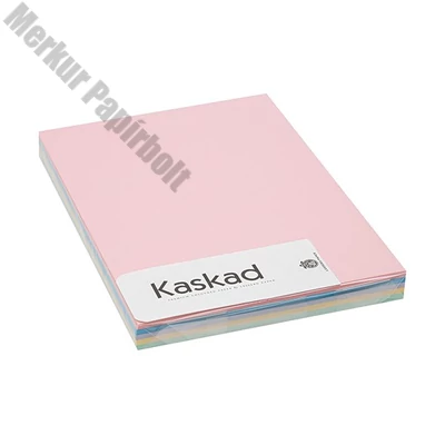 Dekorációs karton KASKAD A/4 160 g pasztell vegyes színek 5x25 íves