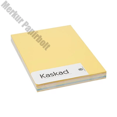 Dekorációs karton KASKAD A/4 160 g pasztell vegyes színek 5x25 íves
