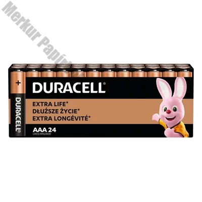 Elem mikro DURACELL Basic MN2400 AAA 24-es