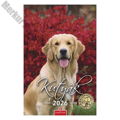 Falinaptár CSG 210x320mm álló Kutyák 2026.