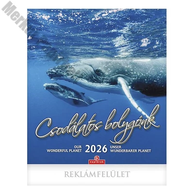 Falinaptár CSG 300x340mm álló Csodálatos Bolygónk 2026.