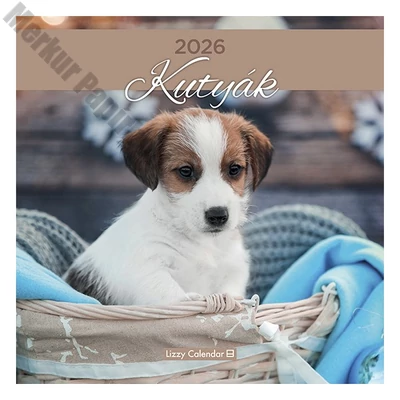 Falinaptár LIZZY CARD 300x600mm álló Kutyák 2026. Falinaptár LIZZY CARD 300x600mm álló Kutyák 2026.