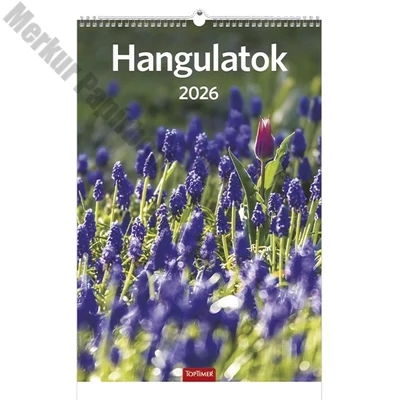 Falinaptár TOPTIMER T094 220x330mm álló Hangulatok 2026.