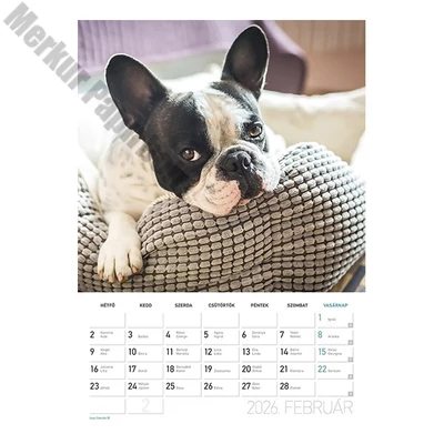 Falinaptár spirálozott  LIZZY CARD B/4 álló Kutyák 2026.