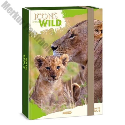 Füzetbox ARS UNA A/4 Icons of the Wild-Lions