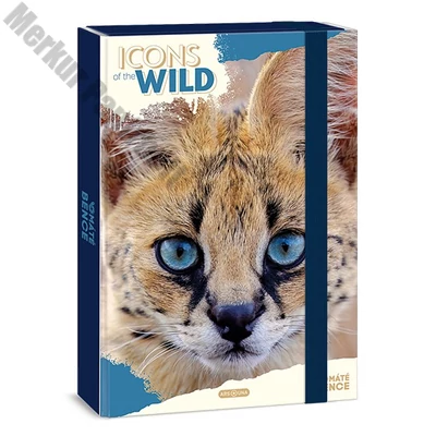 Füzetbox ARS UNA A/4 Icons of the Wild-Serval