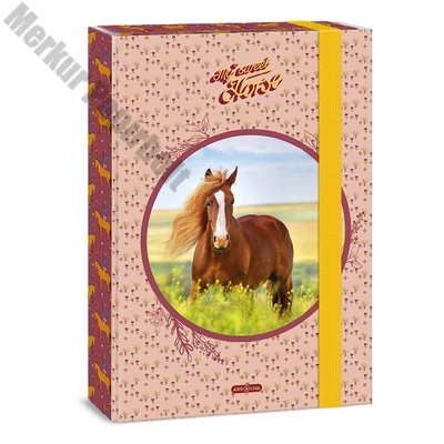 Füzetbox ARS UNA A/4 My Sweet Horse