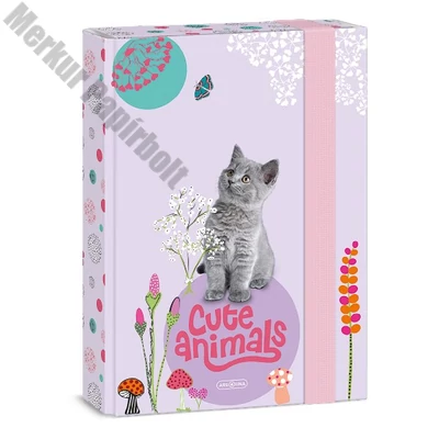 Füzetbox ARS UNA A/5 Cute Animals-Kitten