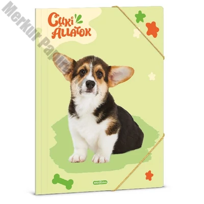 Gumis mappa ARS UNA A/4 Cuki-Welsh corgi