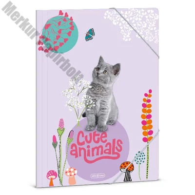 Gumis mappa ARS UNA A/4 Cute Animals-Kitten
