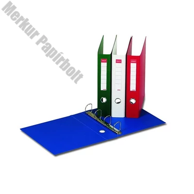 Gyűrűskönyv ESSELTE Jumbo Vivida A/4 58 mm 4 gyűrű PP fekete