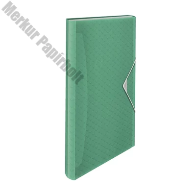 Harmónika mappa ESSELTE Colour Breeze A/4 PP 6 rekeszes zöld