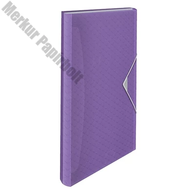 Harmonika mappa ESSELTE Colour Breeze A/4 6 rekeszes levendula