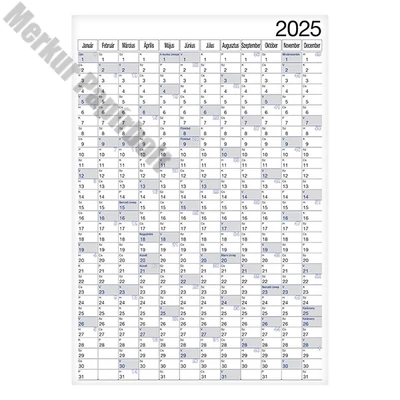 Plakátnaptár REALSYSTEM éves B/1 980x680mm kétoldalas 2026.
