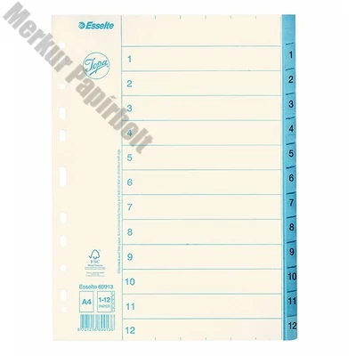 Regiszter ESSELTE A/4 karton 1-12