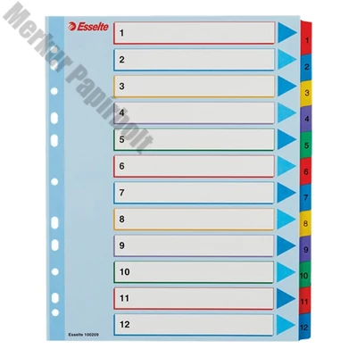Regiszter ESSELTE A/4 maxi laminált karton újraírható 1-12