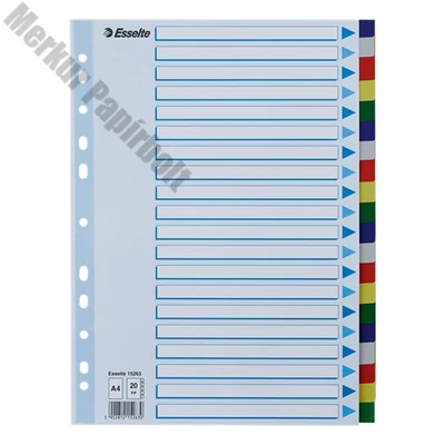 Regiszter ESSELTE A/4 műanyag 20 részes