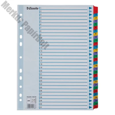 Regiszter ESSELTE Mylar A/4 laminált karton 1-31