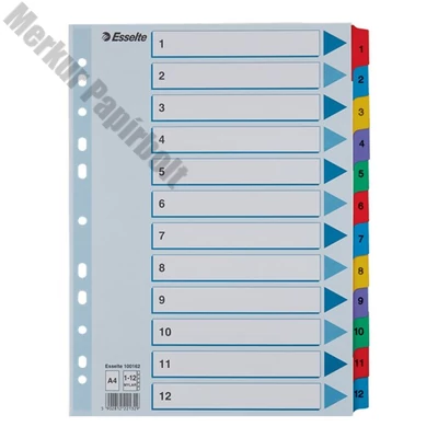 Regiszter ESSELTE Mylar A/4 laminált karton 1-12