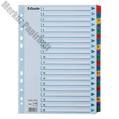 Regiszter ESSELTE Mylar A/4 laminált karton 1-20