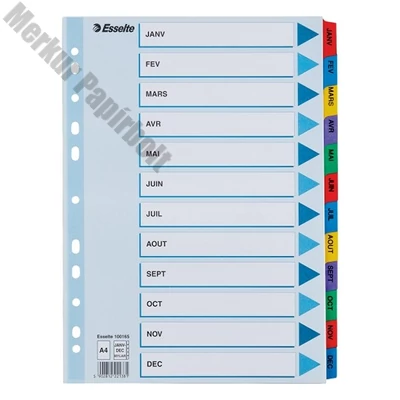 Regiszter ESSELTE Mylar A/4 laminált karton Jan-Dec