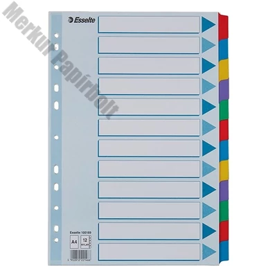 Regiszter ESSELTE Mylar A/4 laminált karton 12 részes