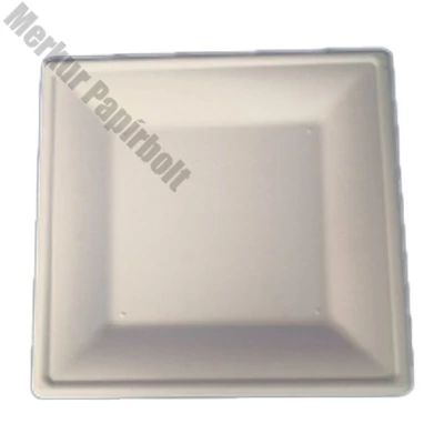 Szögletes eldobható papírtányér  KOMP cukornád lebomló 20x20 cm natúr 50 darabos
